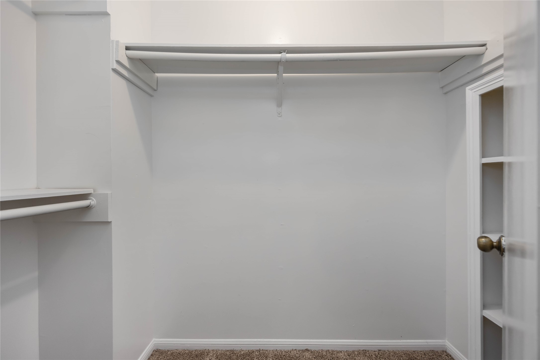5411 Mossy Timbers Drive Property Photo 21