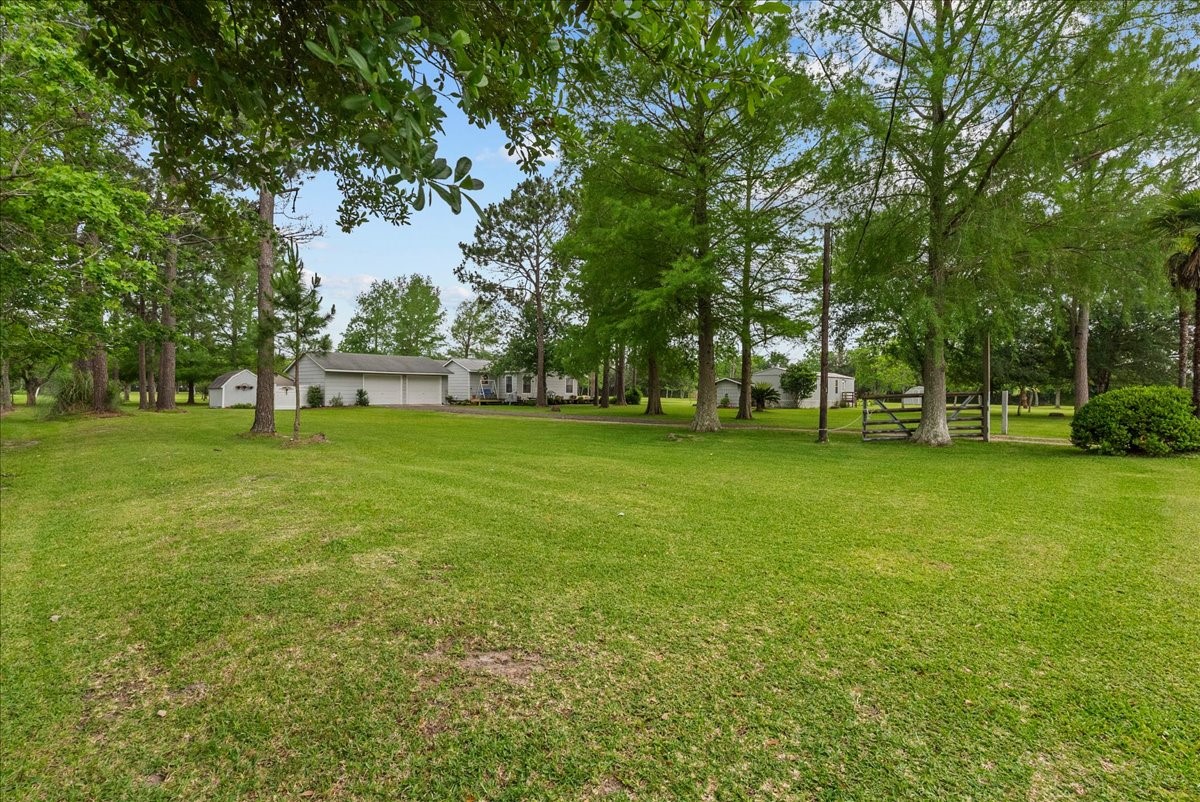7808 Carolyn Street Property Photo 6