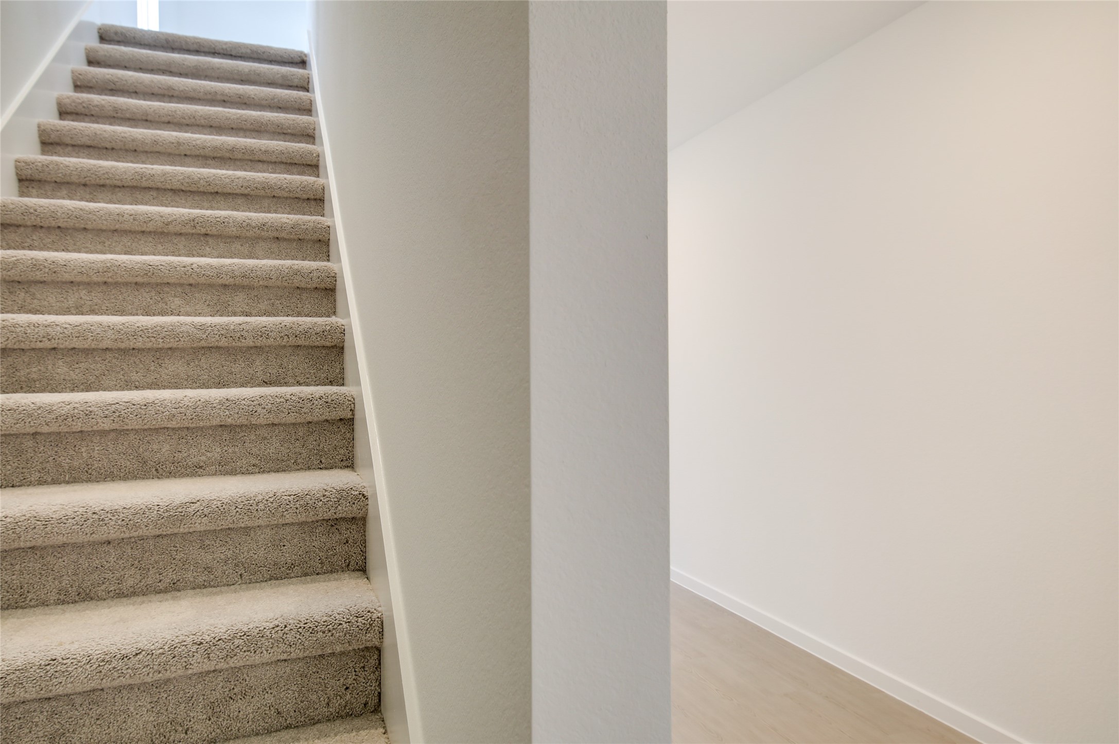 10915 Tawny Ridge Property Photo 5