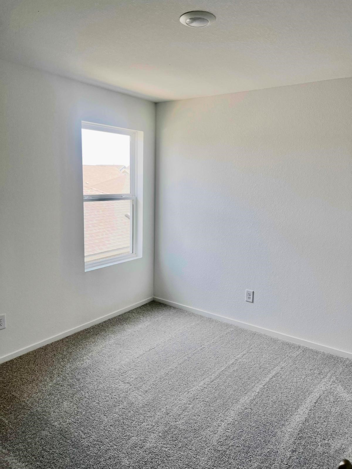 29023 Great Flatland Trail Property Photo 13