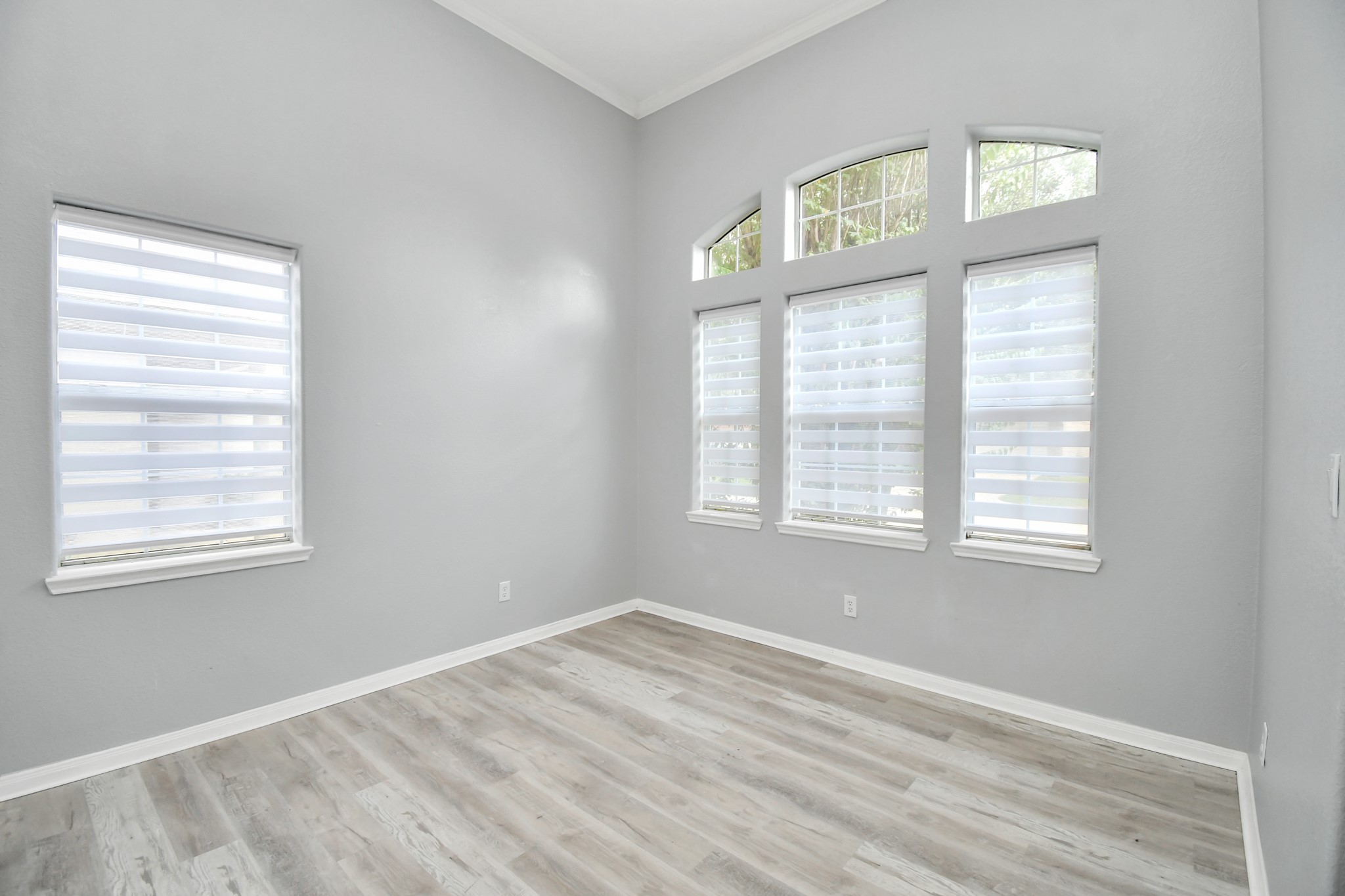 3310 Manor Tree Lane Property Photo 16
