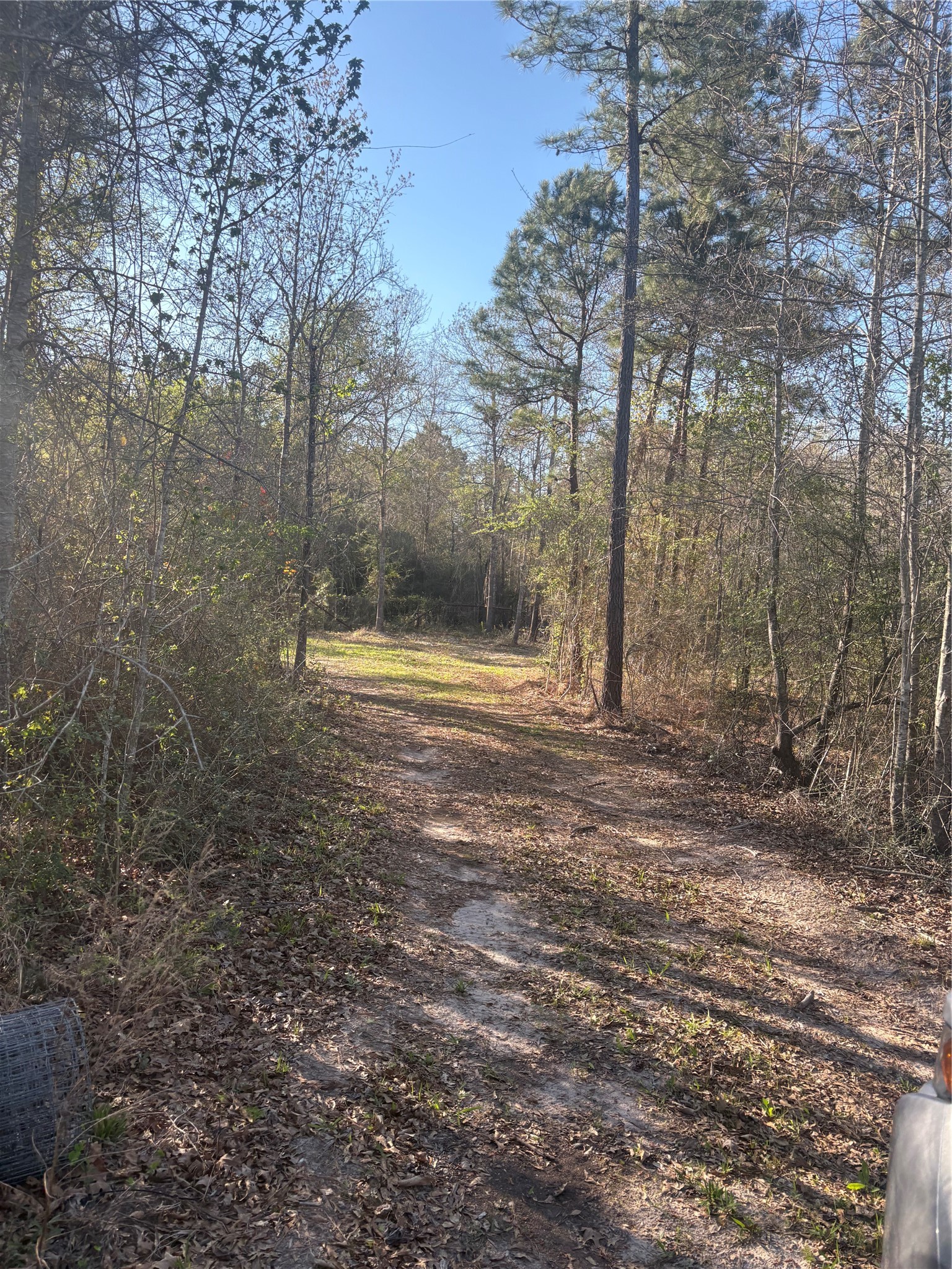 00 County Road 4180 Property Photo 3