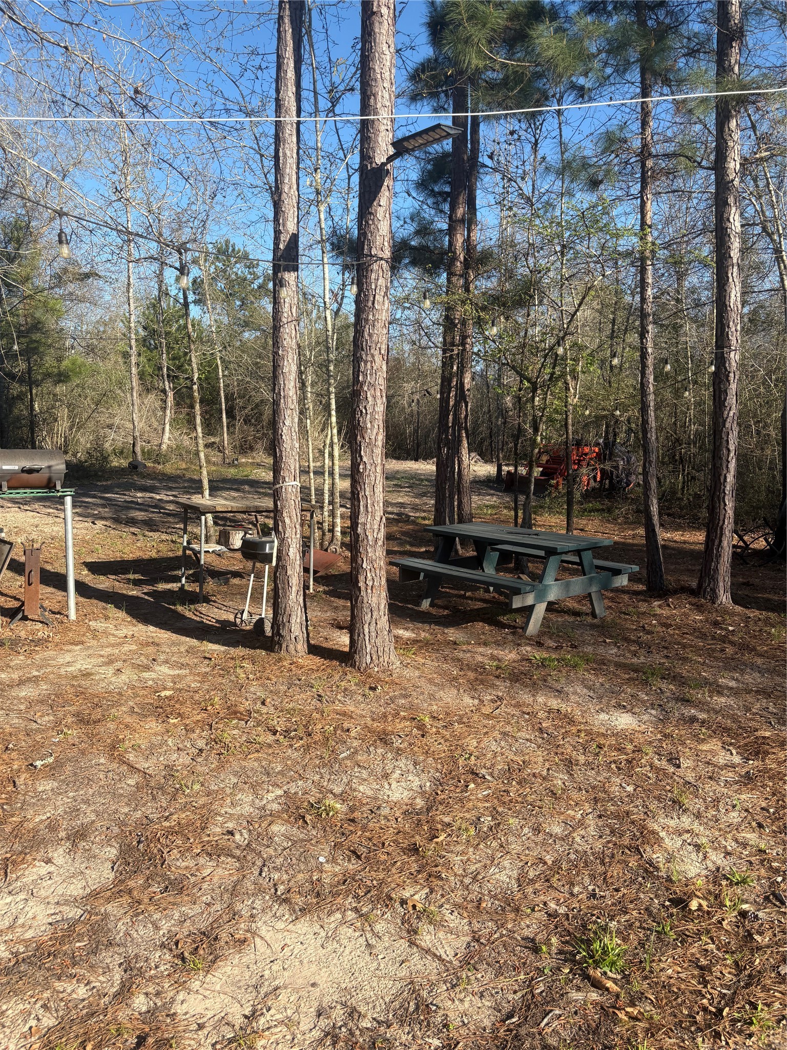 00 County Road 4180 Property Photo 4