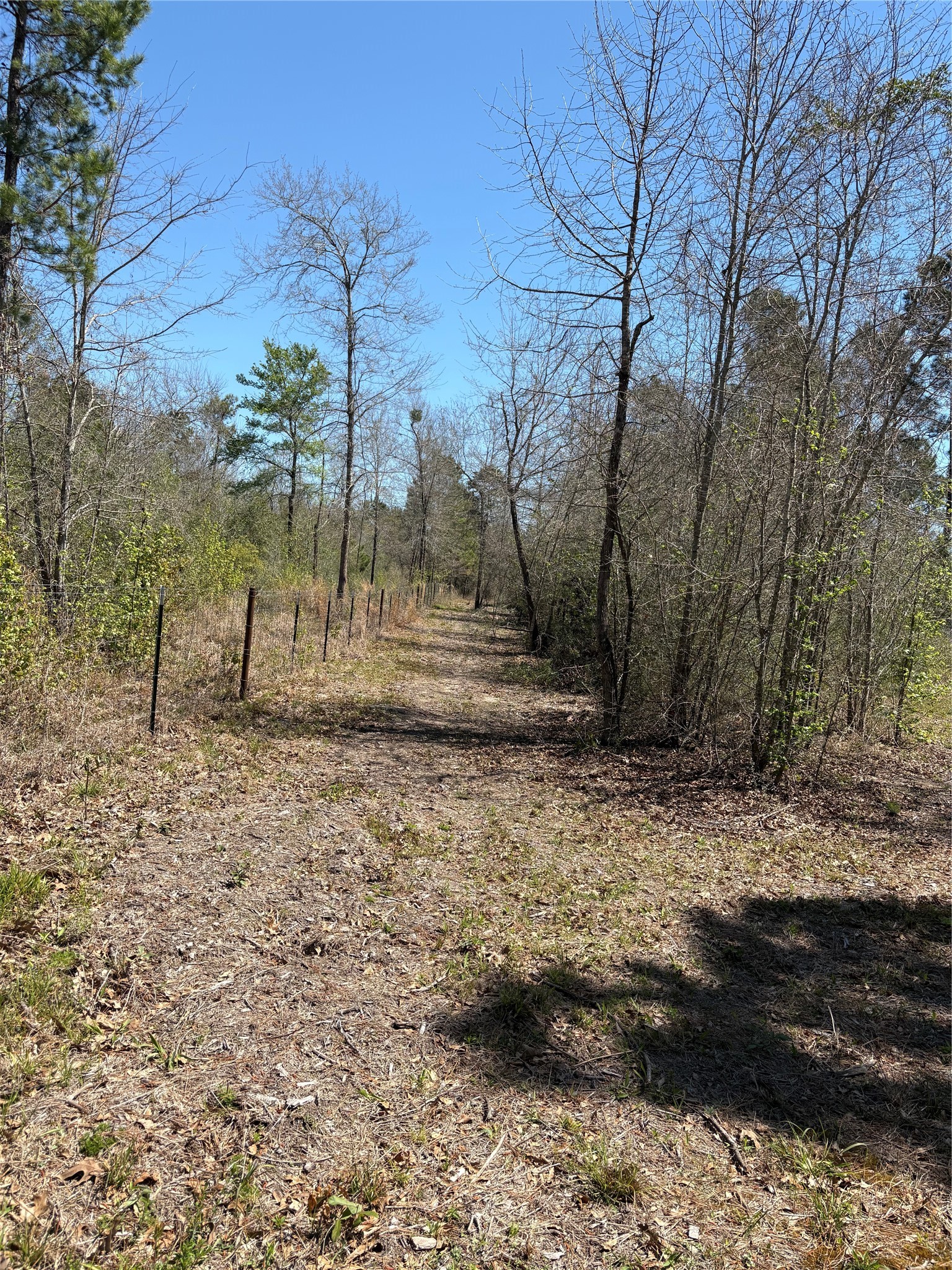 00 County Road 4180 Property Photo 6