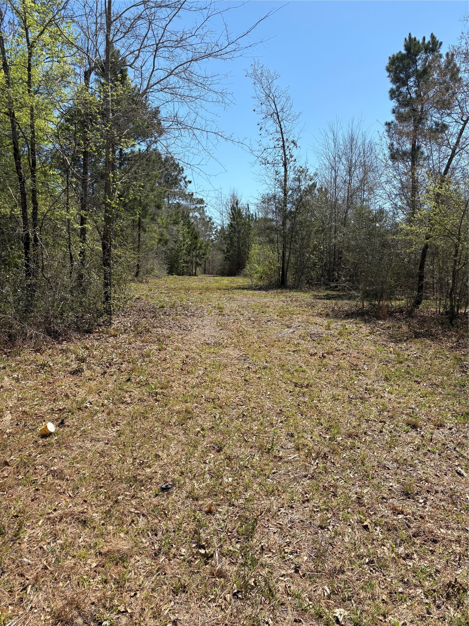 00 County Road 4180 Property Photo 7