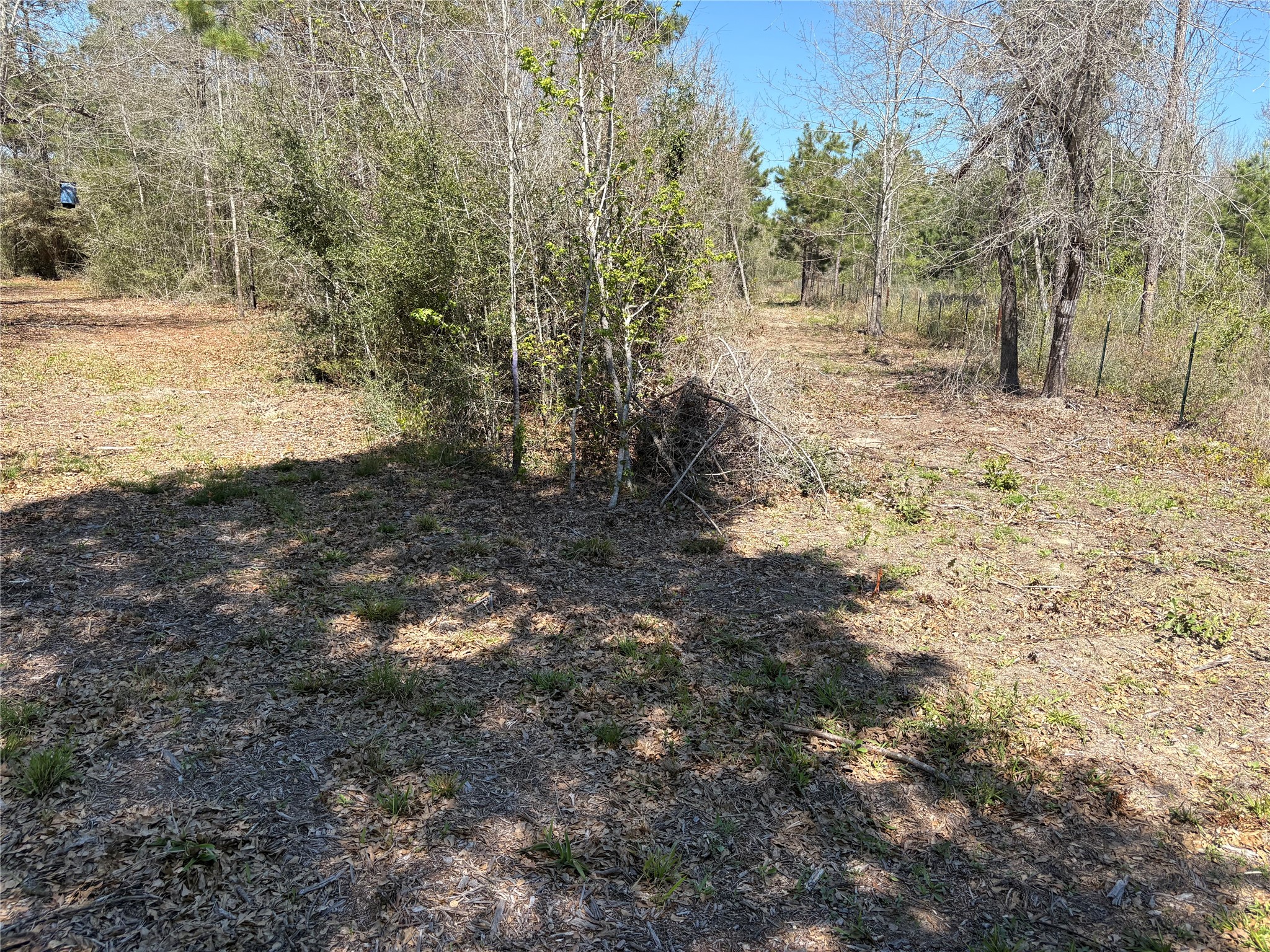 00 County Road 4180 Property Photo 9