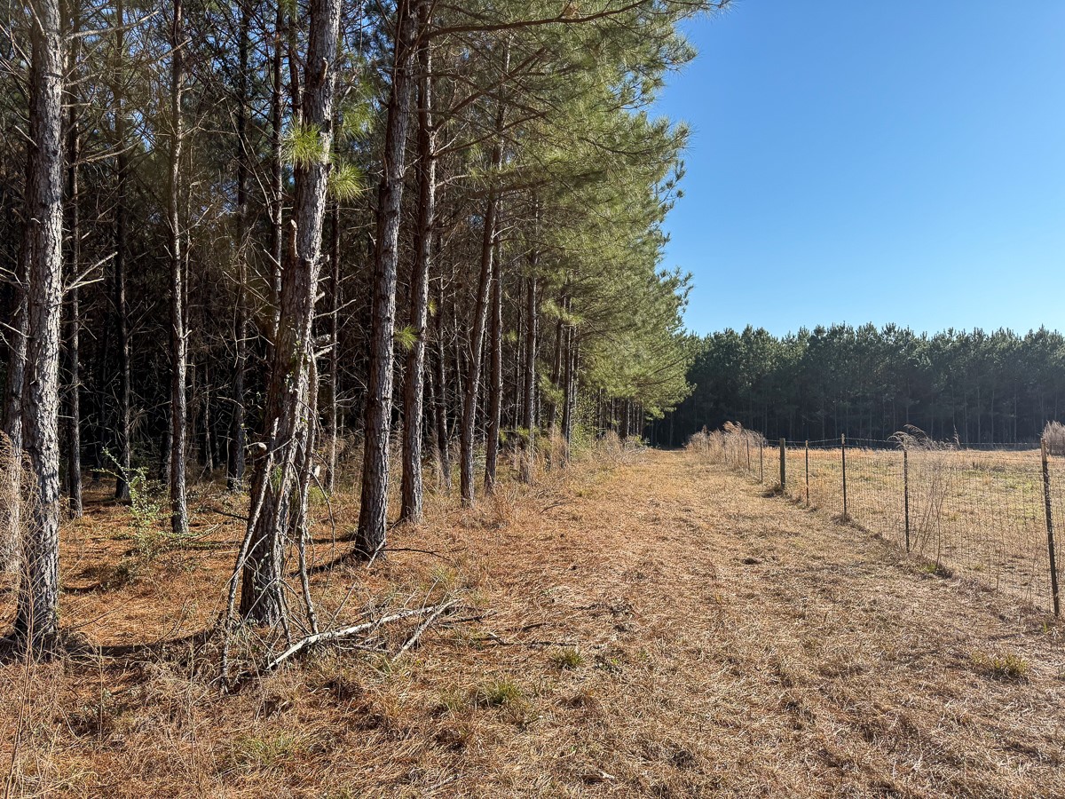1498 County Road 325 Property Photo 28