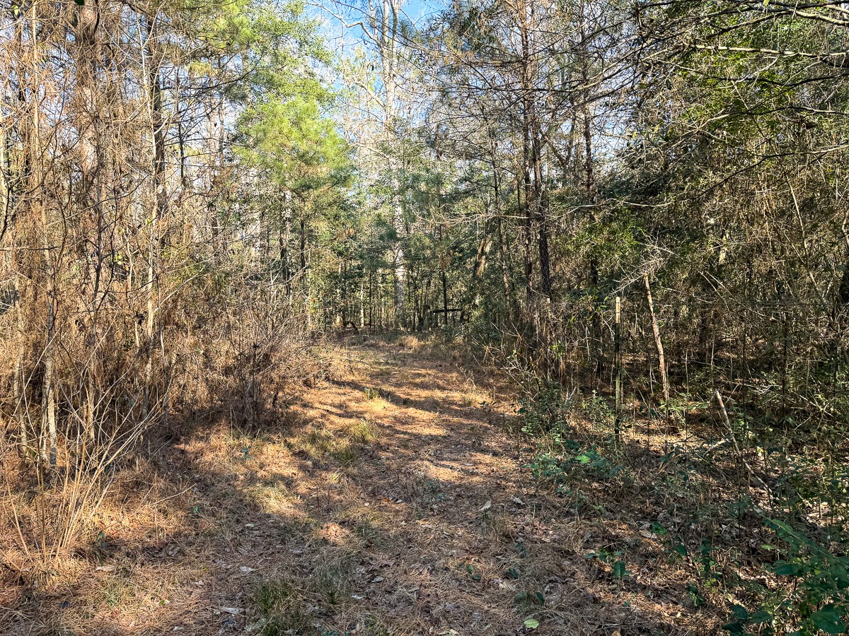 1498 County Road 325 Property Photo 32
