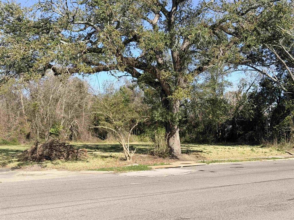 1512 W Park Avenue Property Photo 1