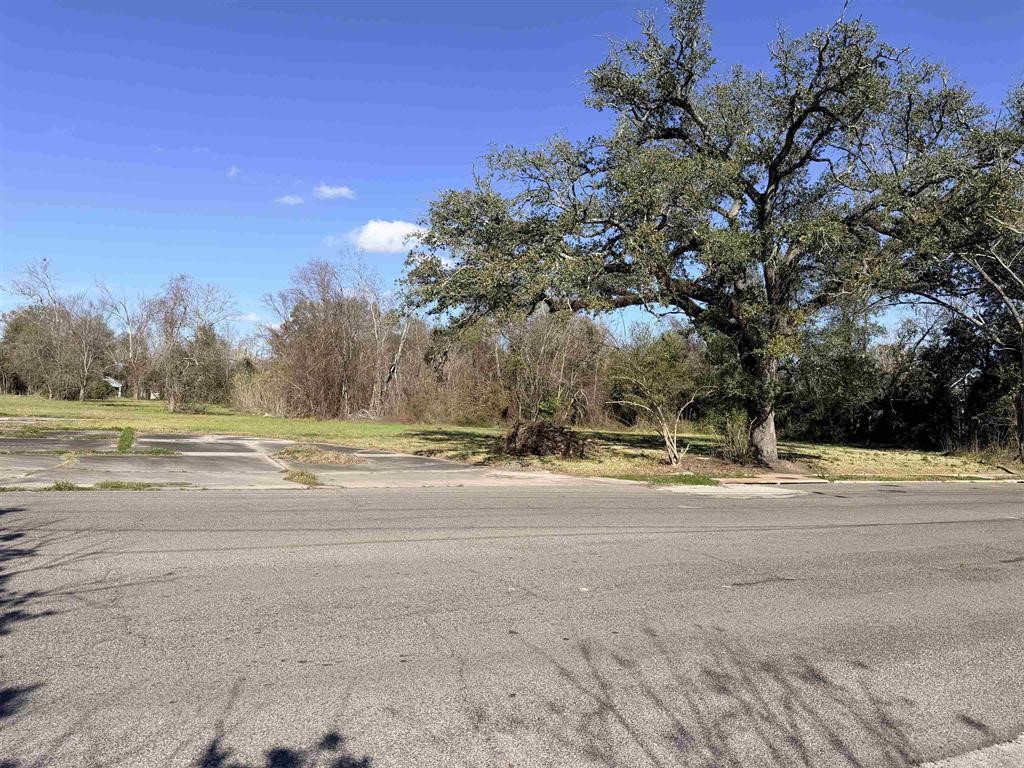 1512 W Park Avenue Property Photo 2