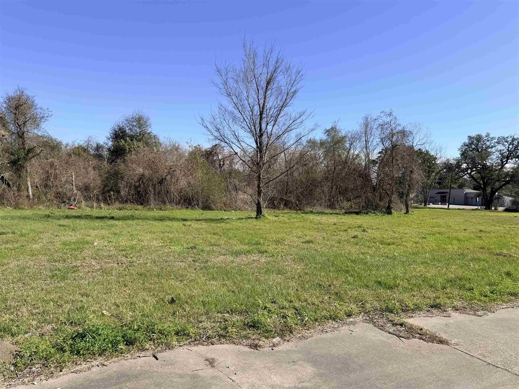 1512 W Park Avenue Property Photo 8