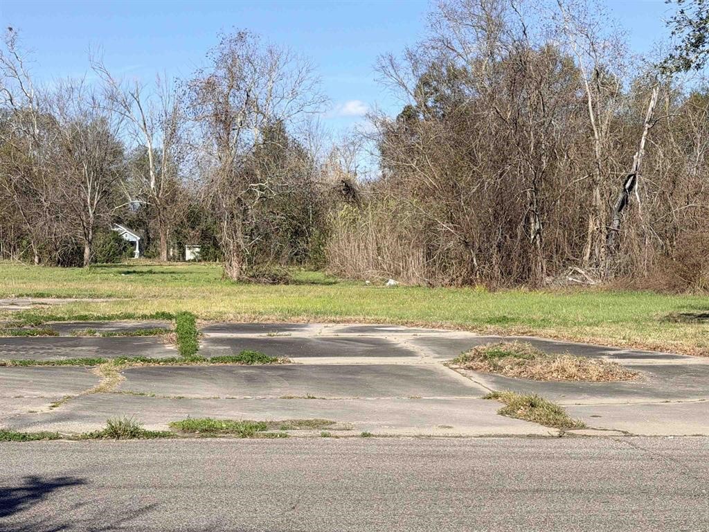 1512 W Park Avenue Property Photo 9