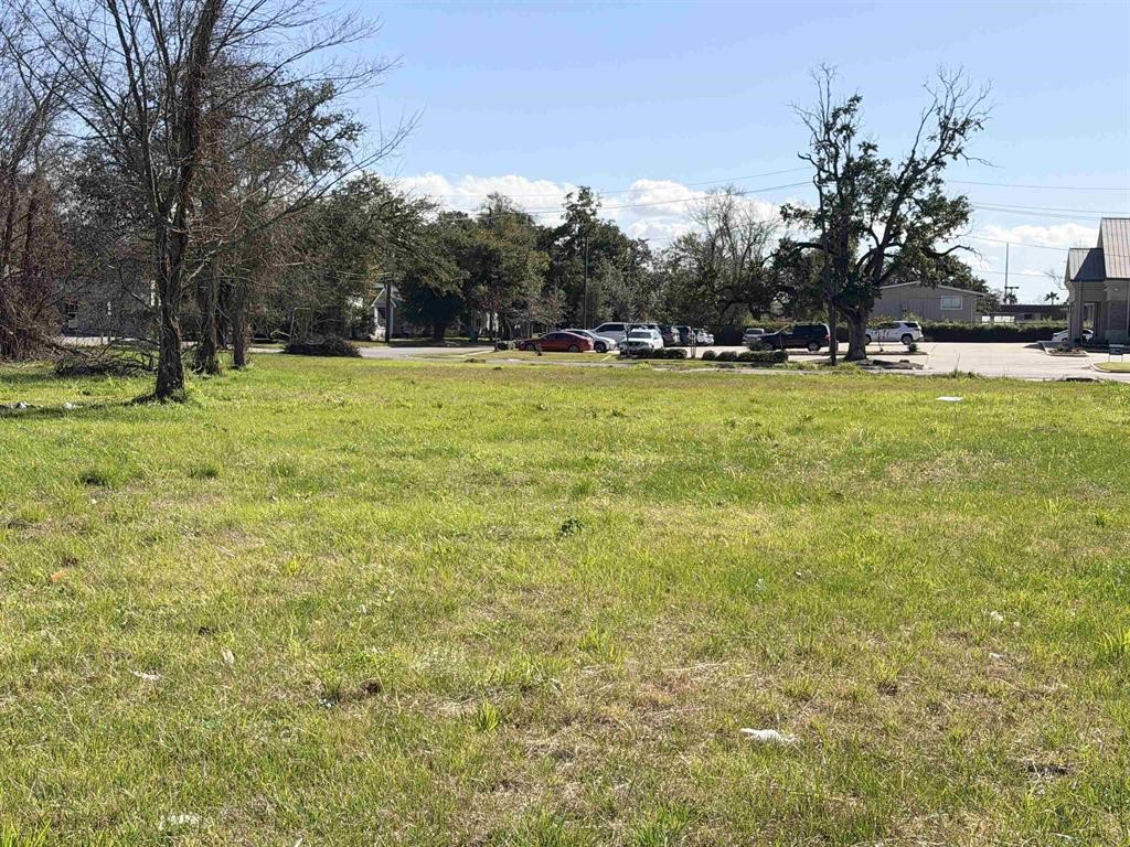 1512 W Park Avenue Property Photo 11