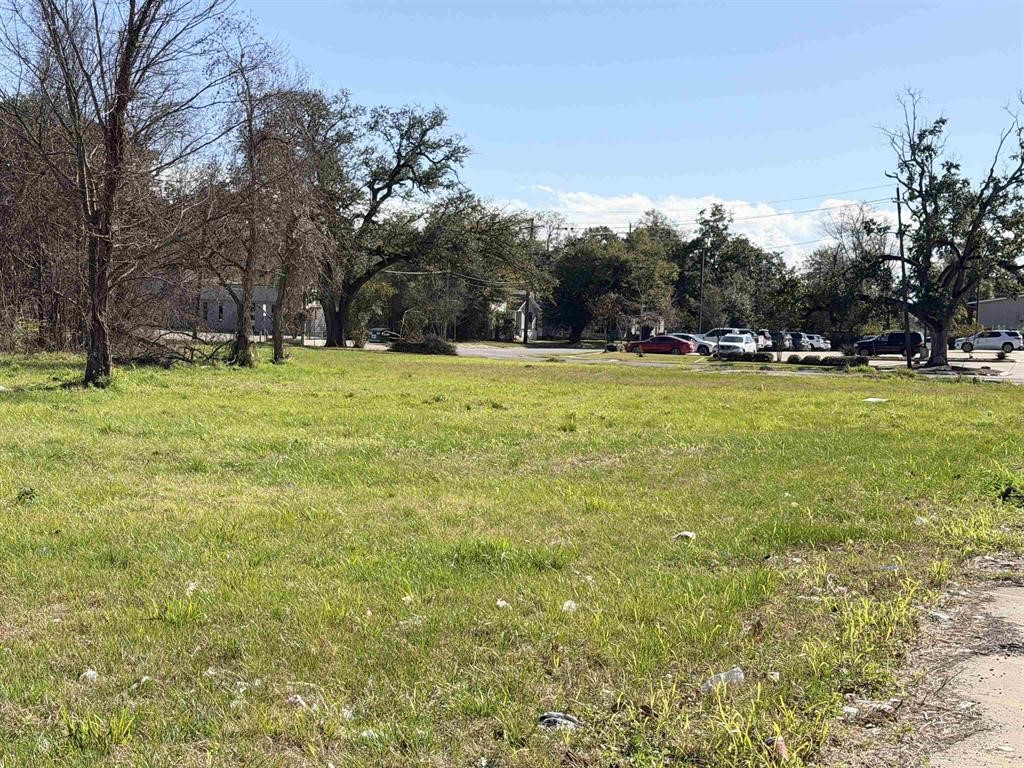 1512 W Park Avenue Property Photo 12