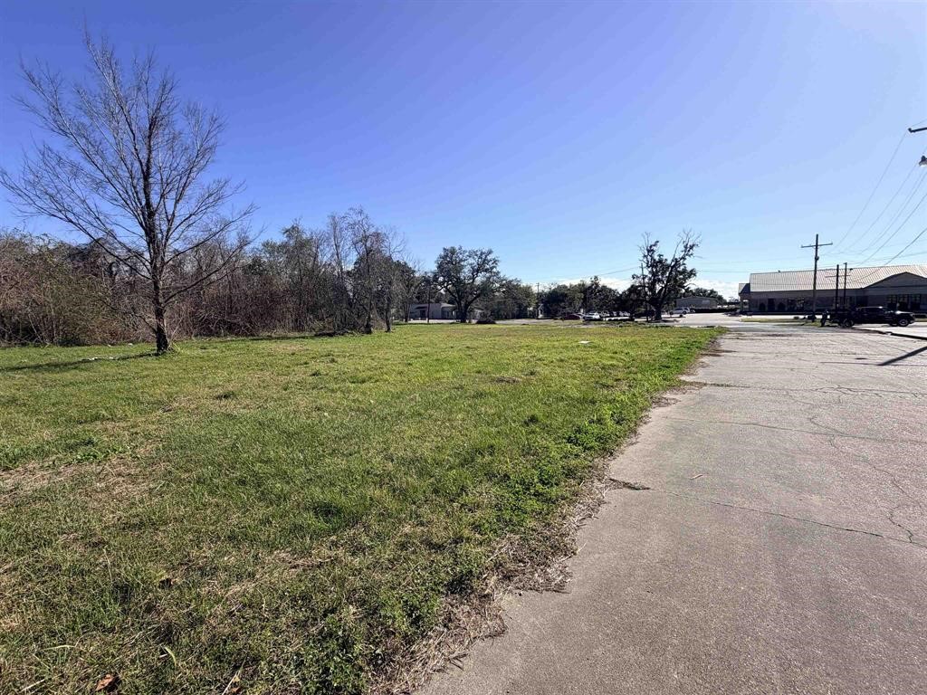 1512 W Park Avenue Property Photo 15