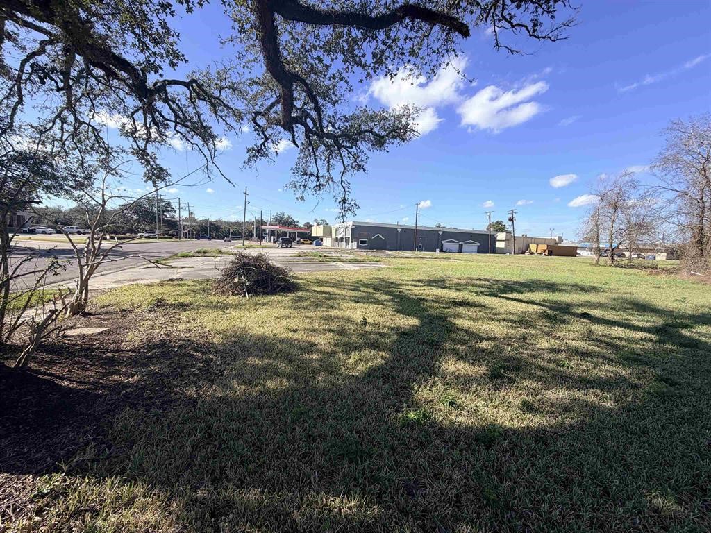 1512 W Park Avenue Property Photo 17