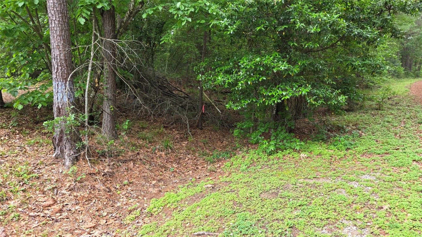 Tbd Heron Lane Property Photo 2