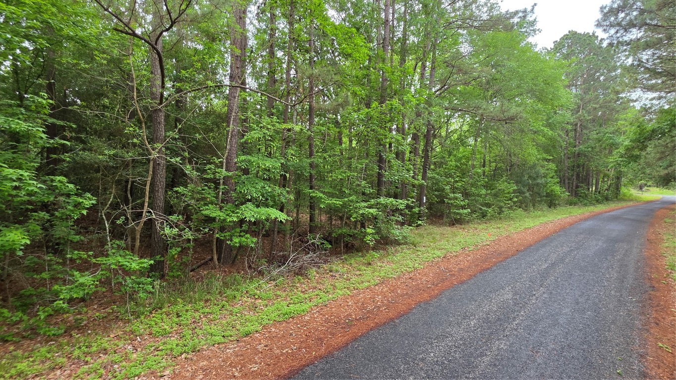 Tbd Heron Lane Property Photo 3