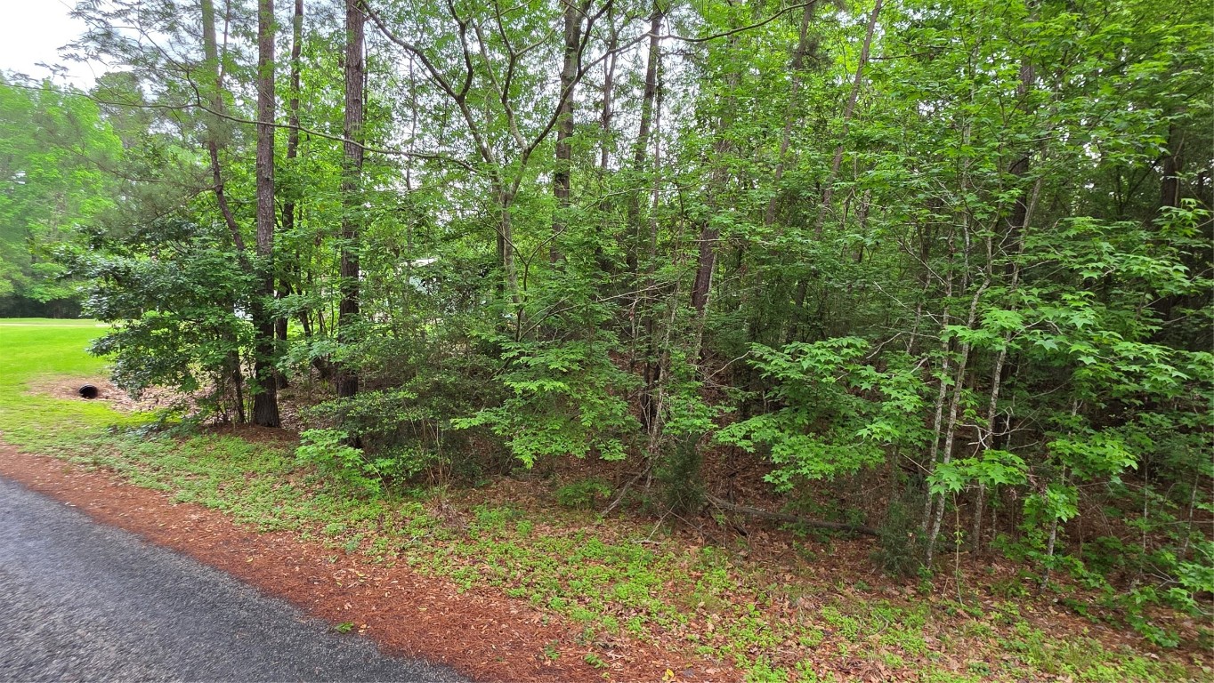 Tbd Heron Lane Property Photo 4