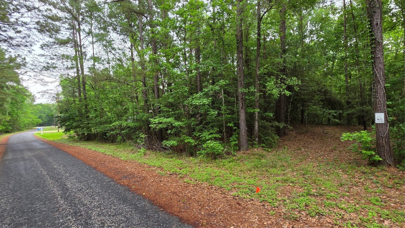 Tbd Heron Lane Property Photo 5