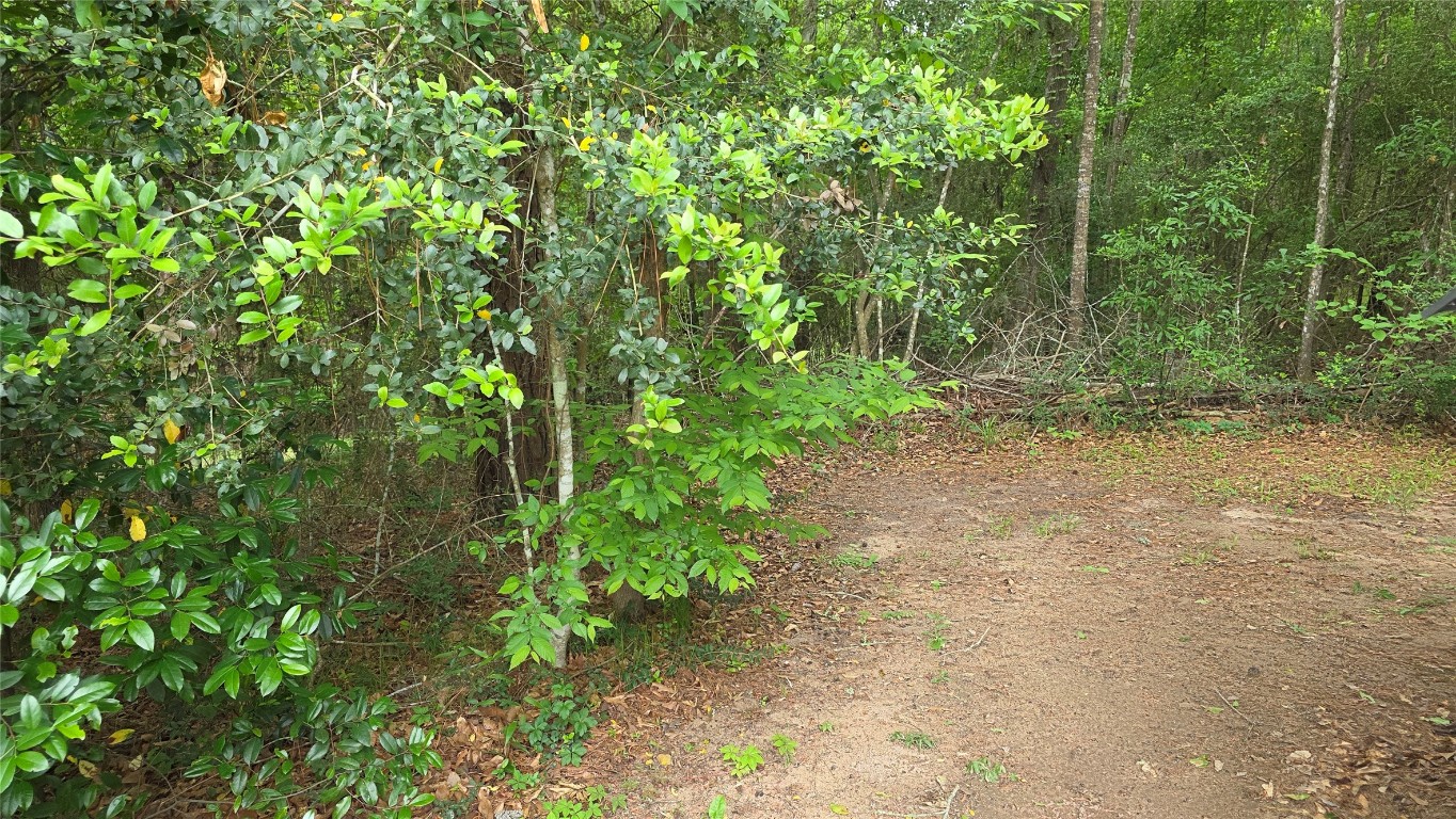 Tbd Heron Lane Property Photo 6