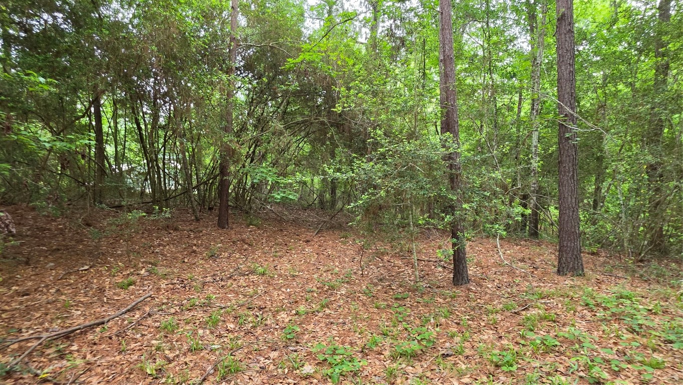 Tbd Heron Lane Property Photo 7