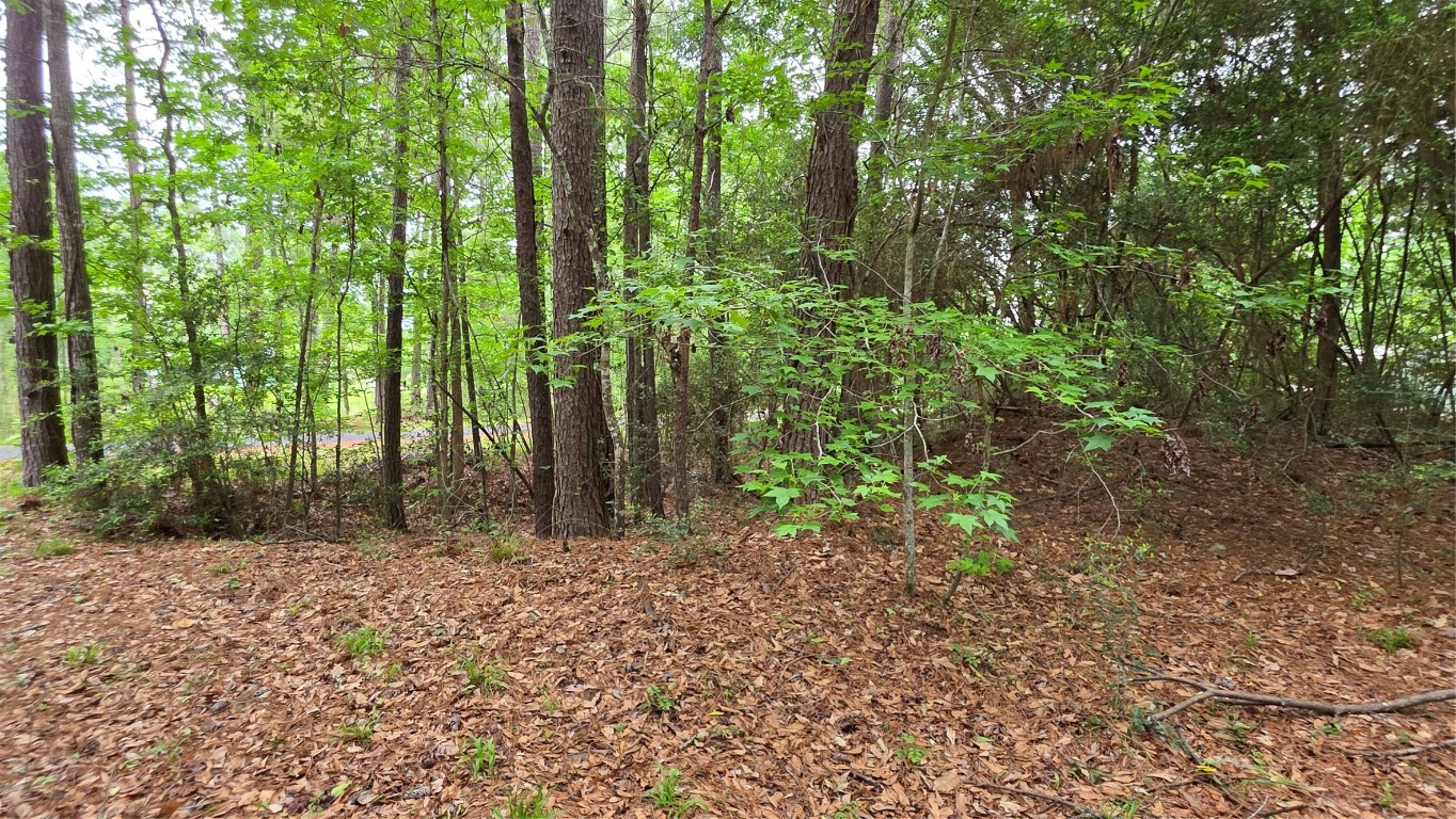 Tbd Heron Lane Property Photo 8