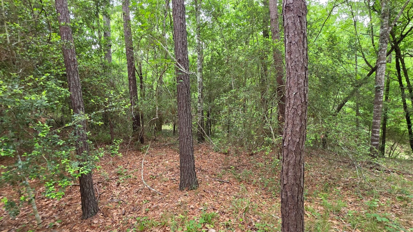 Tbd Heron Lane Property Photo 9
