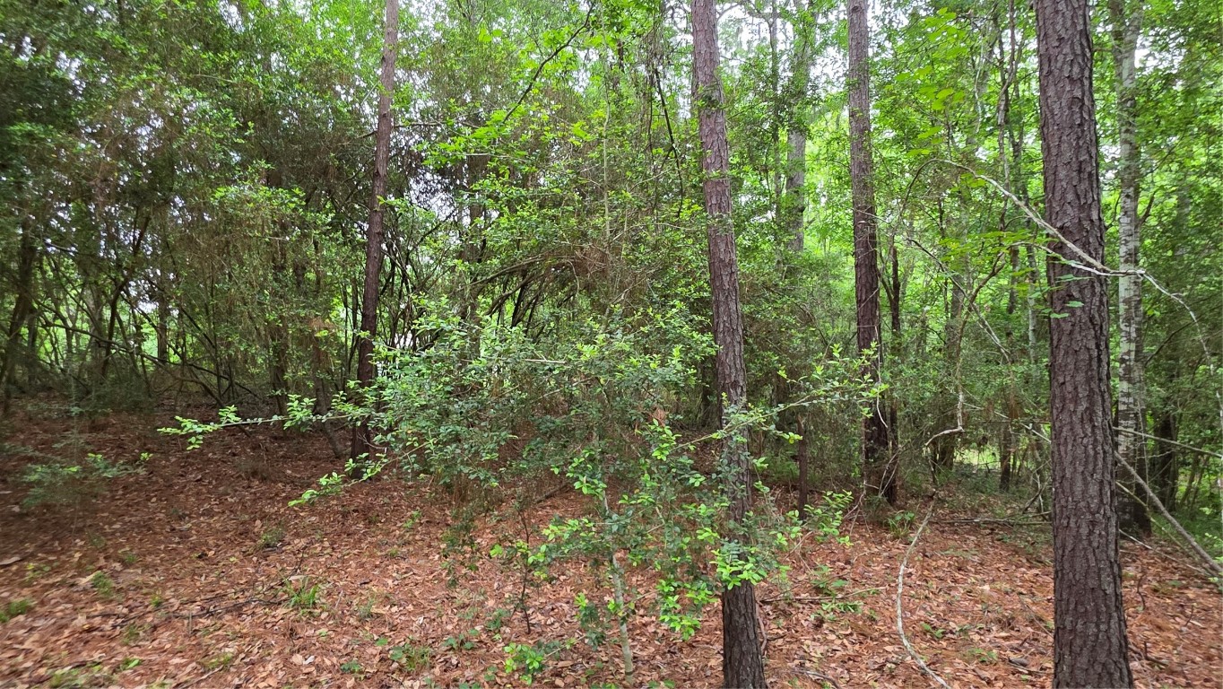 Tbd Heron Lane Property Photo 10