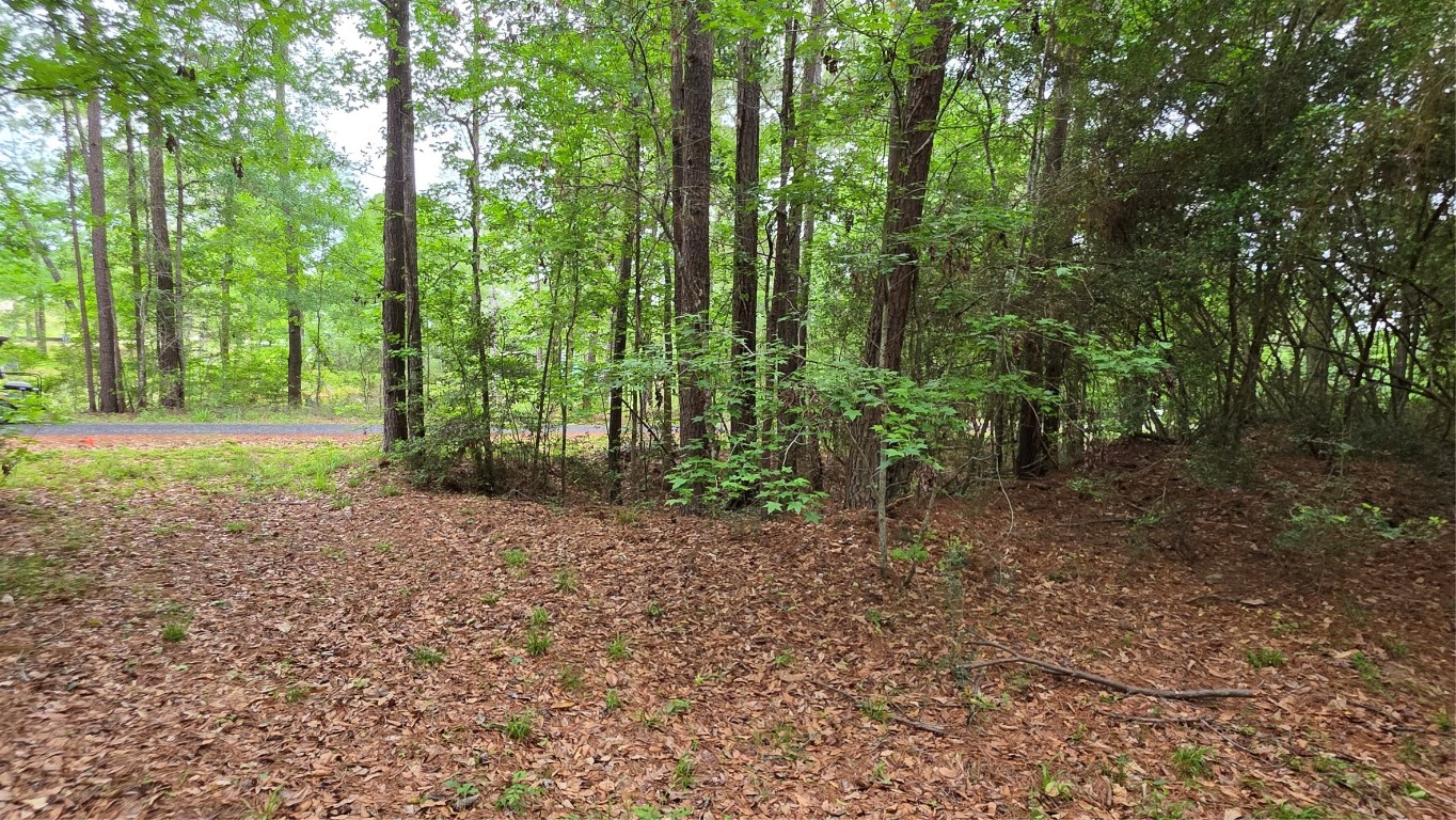 Tbd Heron Lane Property Photo 11