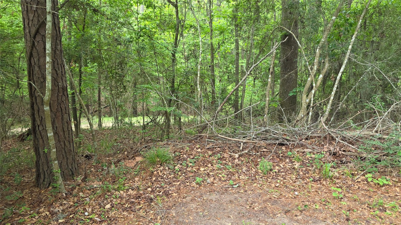 Tbd Heron Lane Property Photo 12