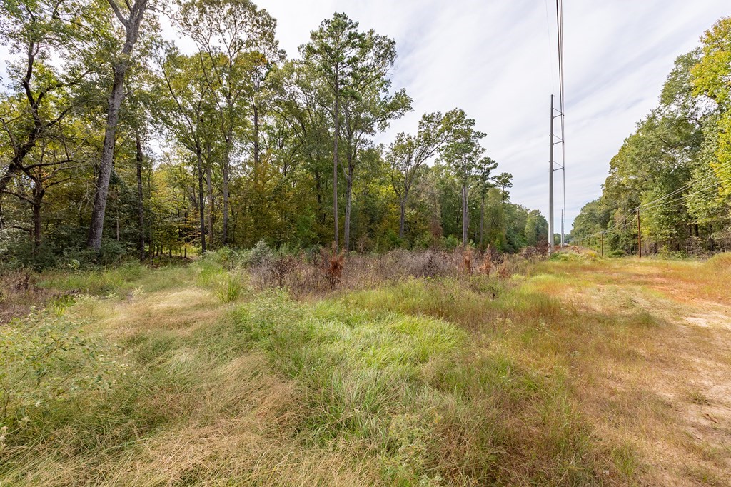 R33234 Platt Road Property Photo 6