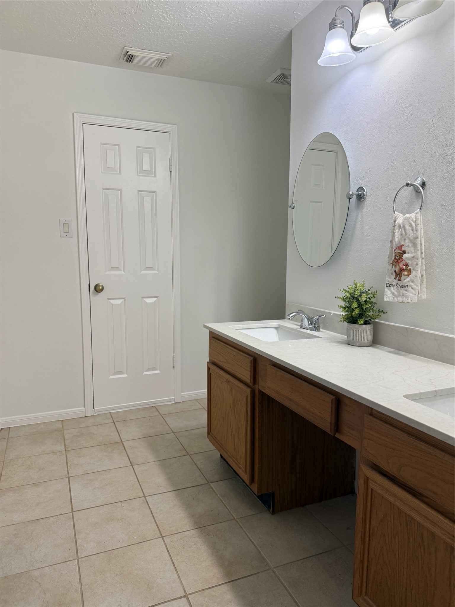 16930 Blue Mist Circle Property Photo 10