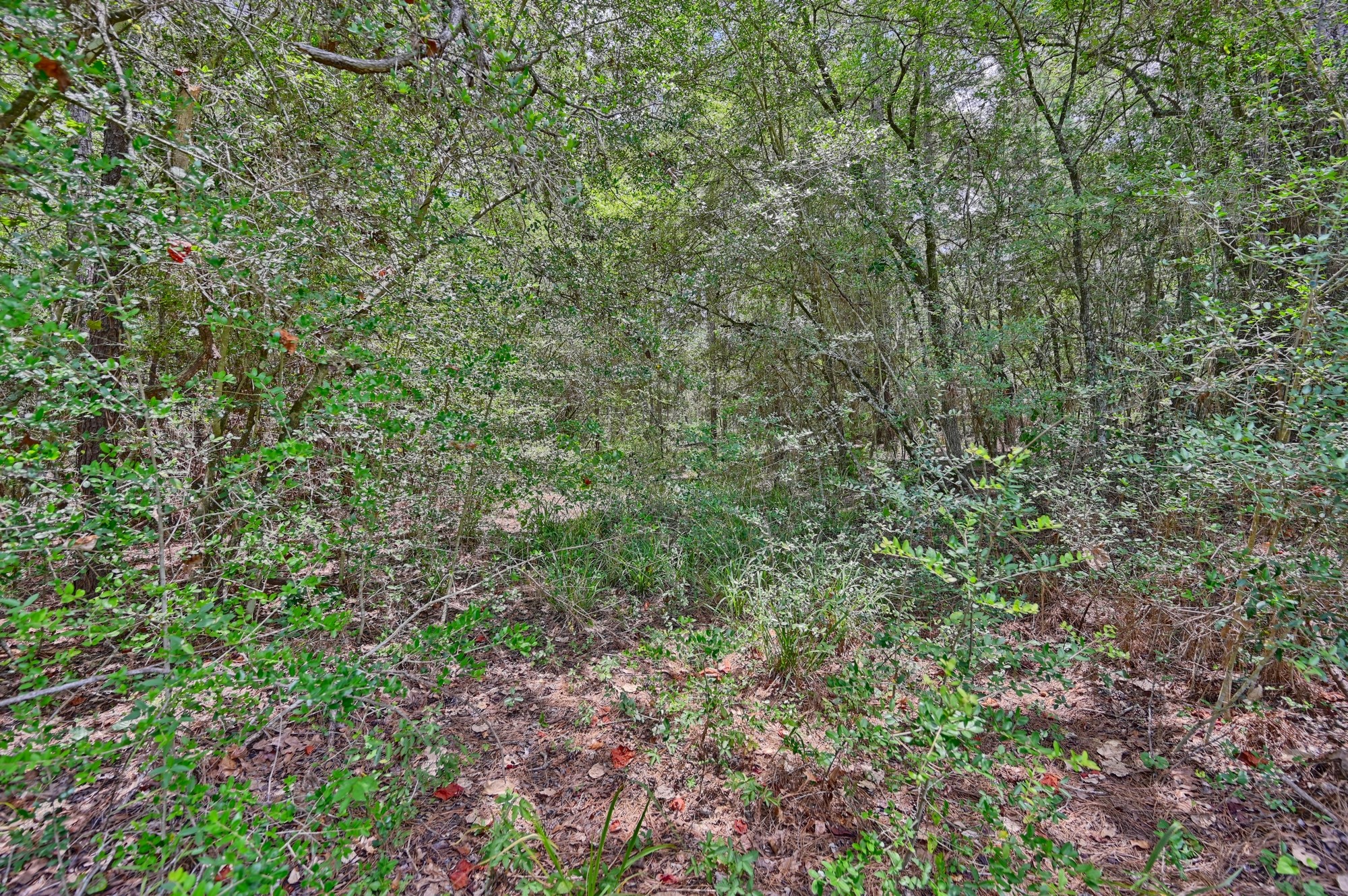16893 Whippoorwill Road Property Photo 20