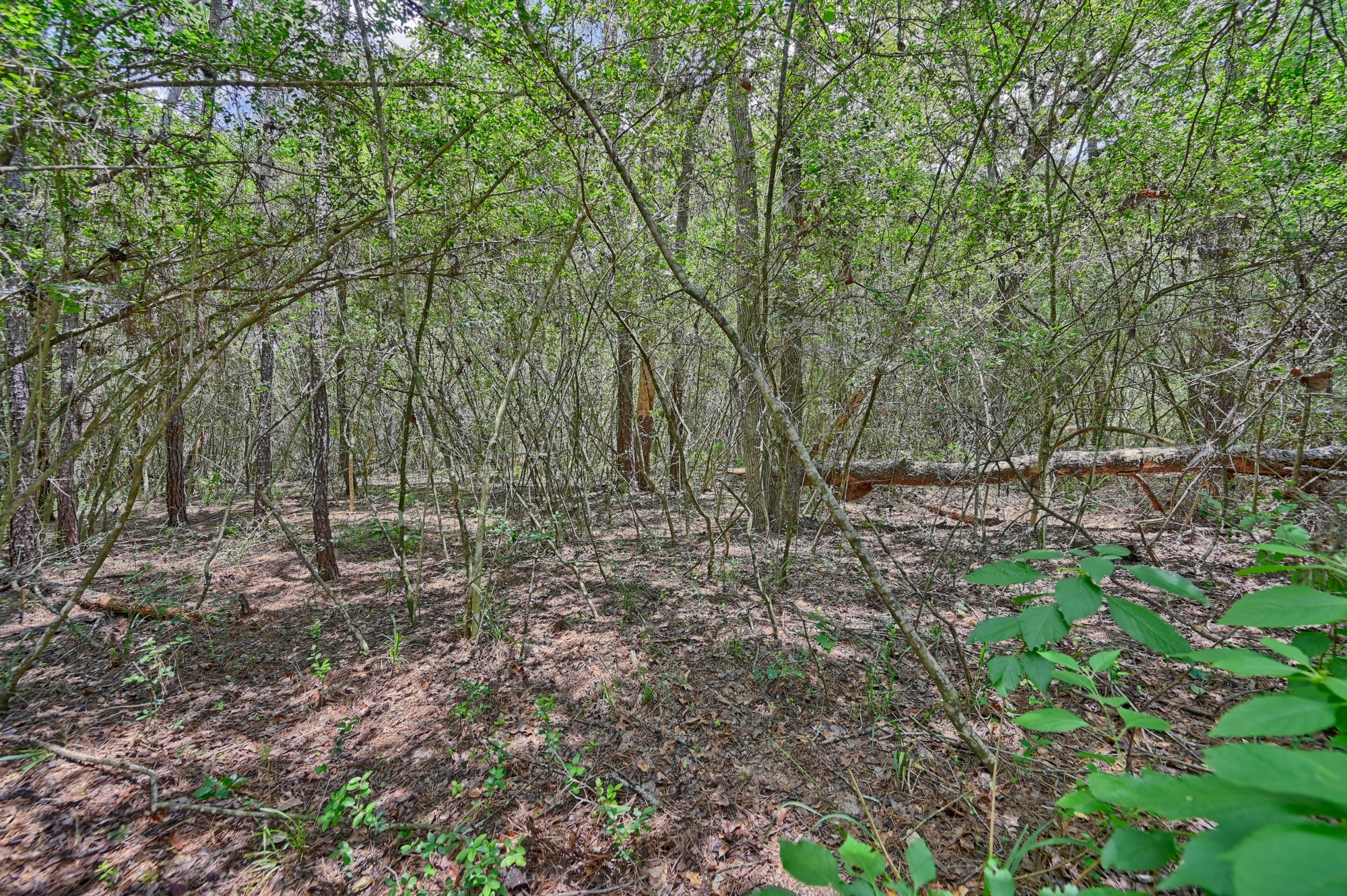 16893 Whippoorwill Road Property Photo 21