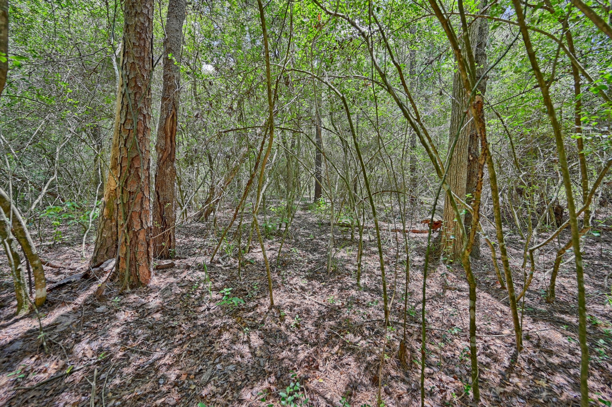 16893 Whippoorwill Road Property Photo 22