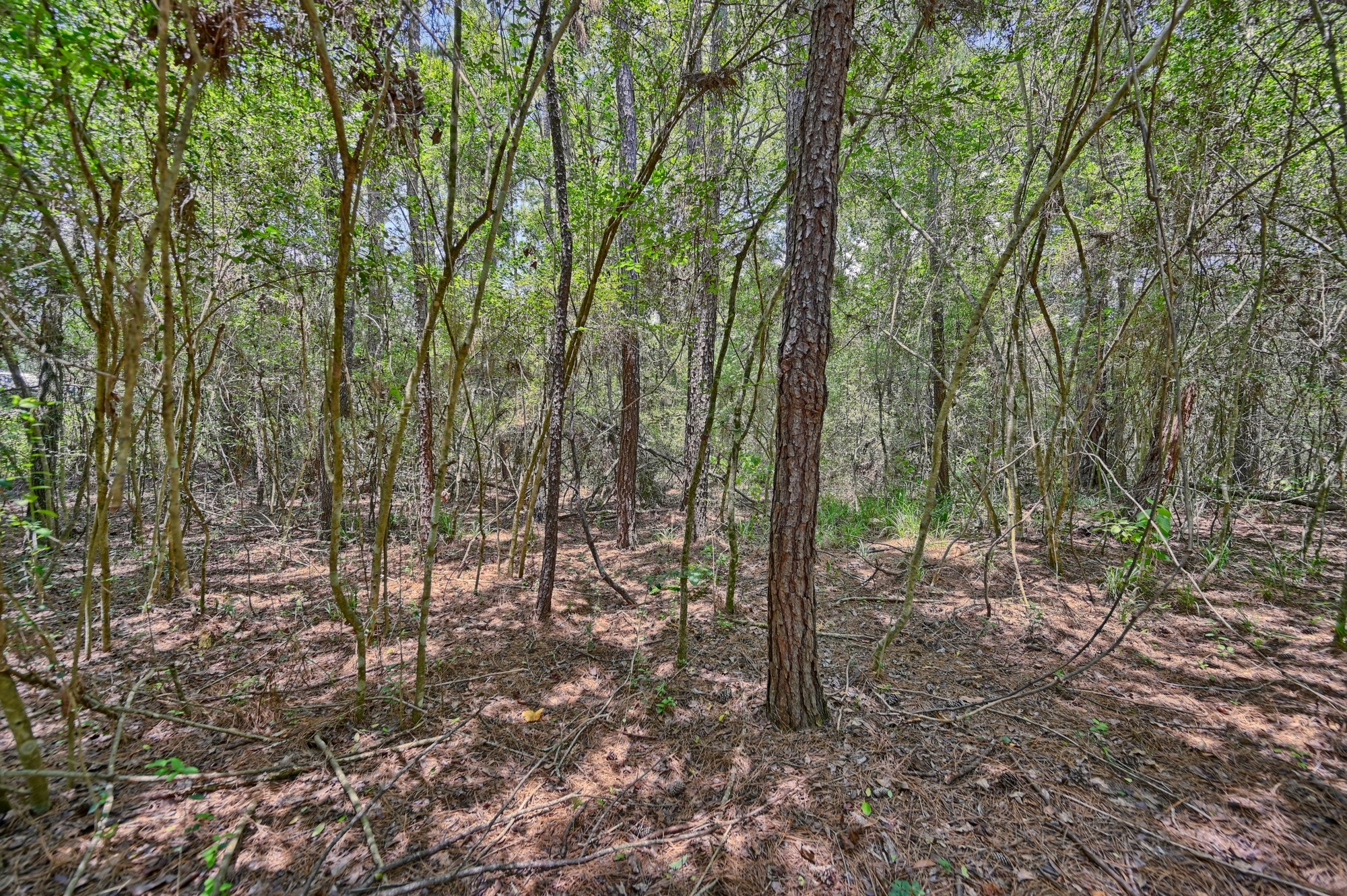 16893 Whippoorwill Road Property Photo 24