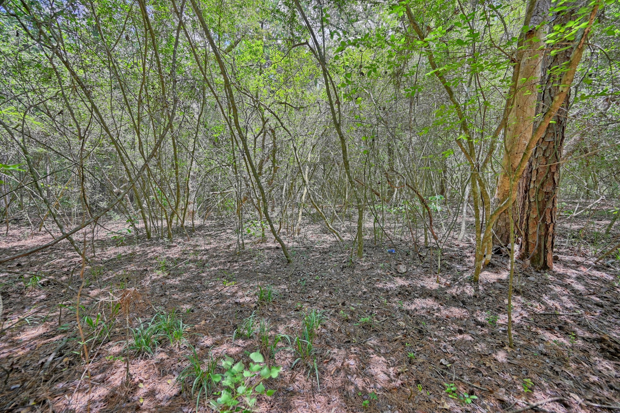 16893 Whippoorwill Road Property Photo 25