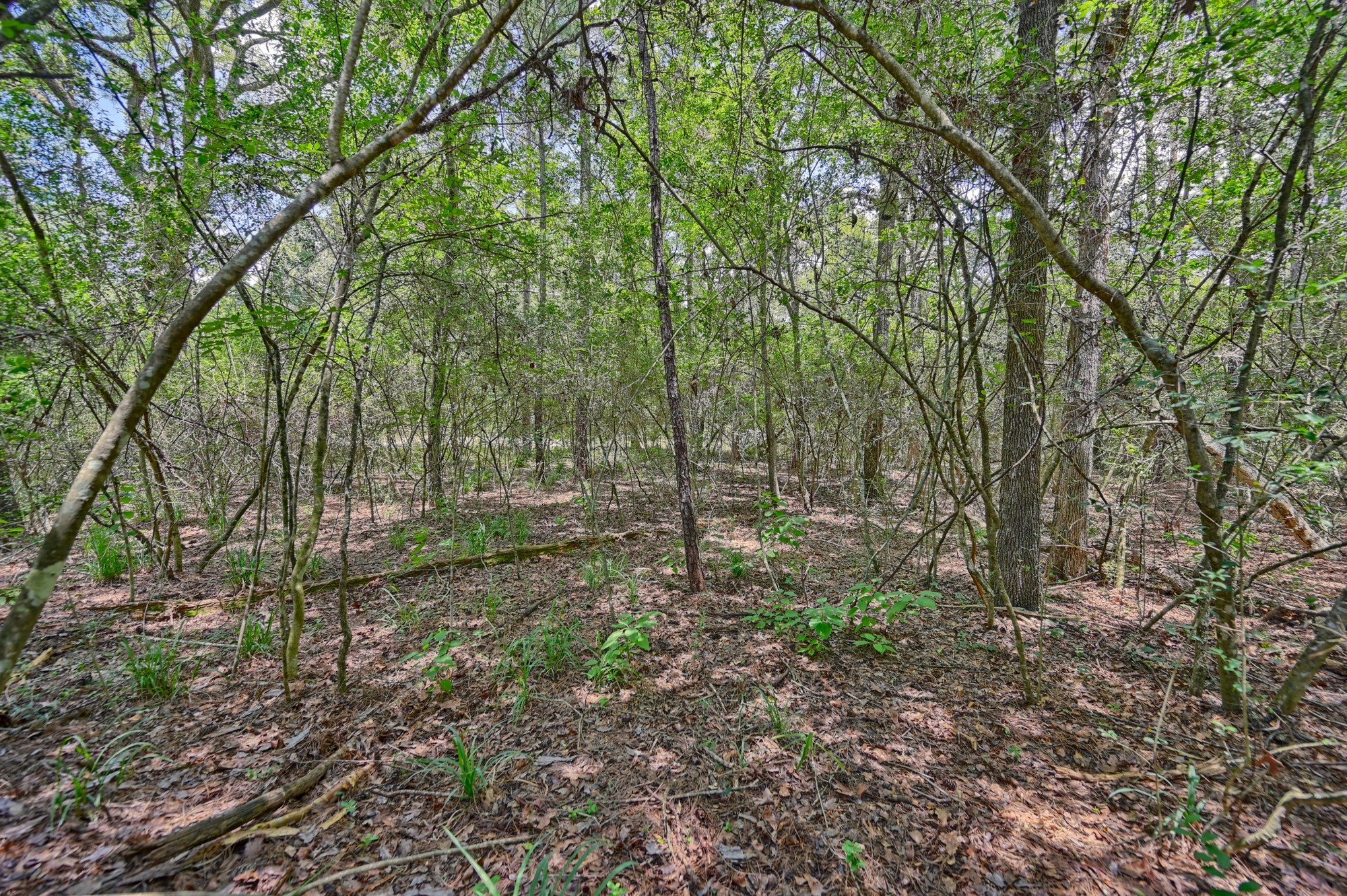 16893 Whippoorwill Road Property Photo 26