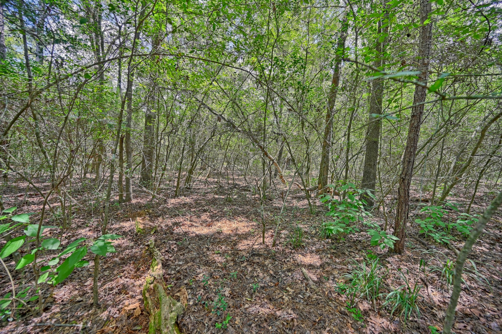 16893 Whippoorwill Road Property Photo 28