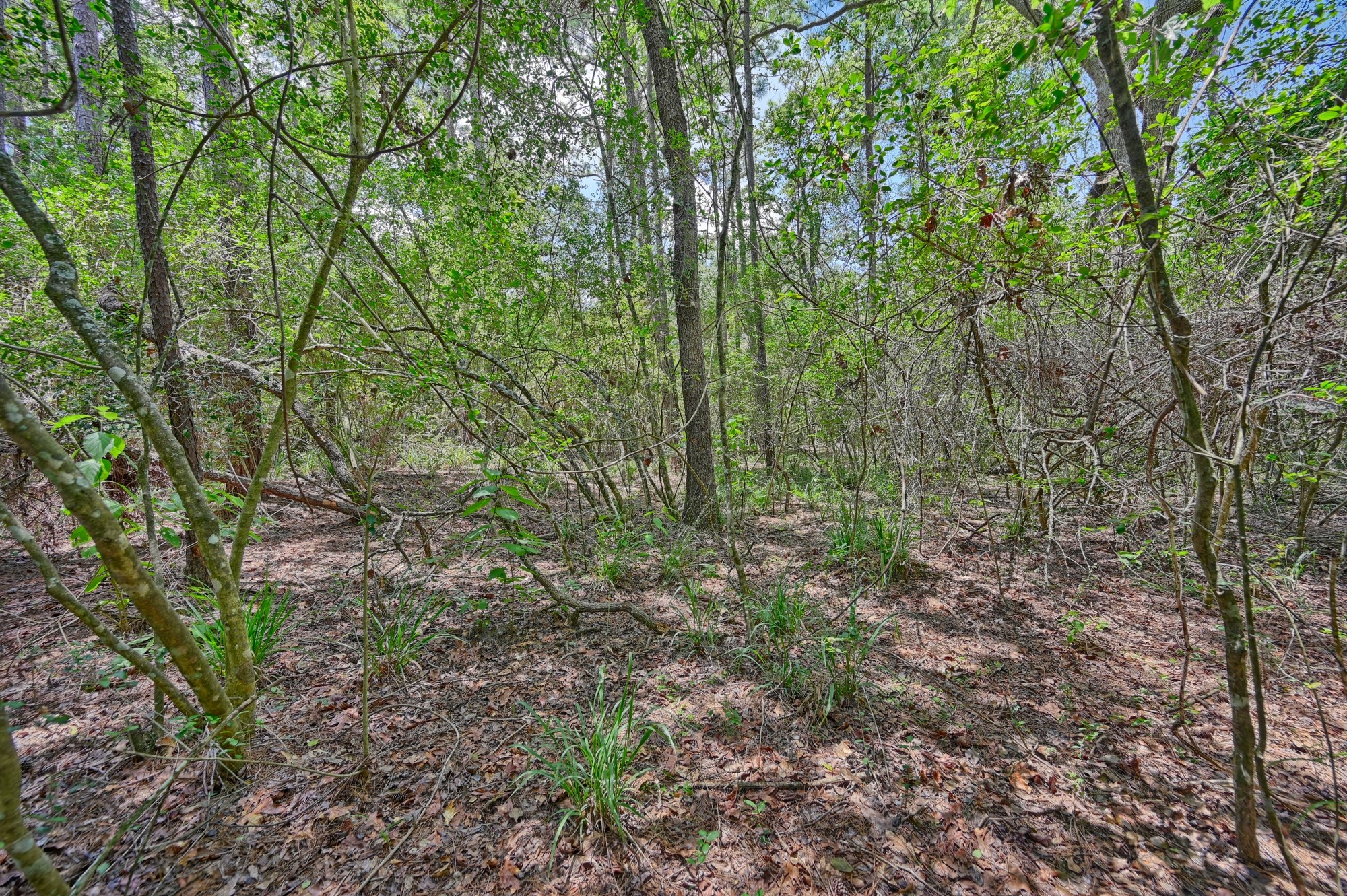 16893 Whippoorwill Road Property Photo 29