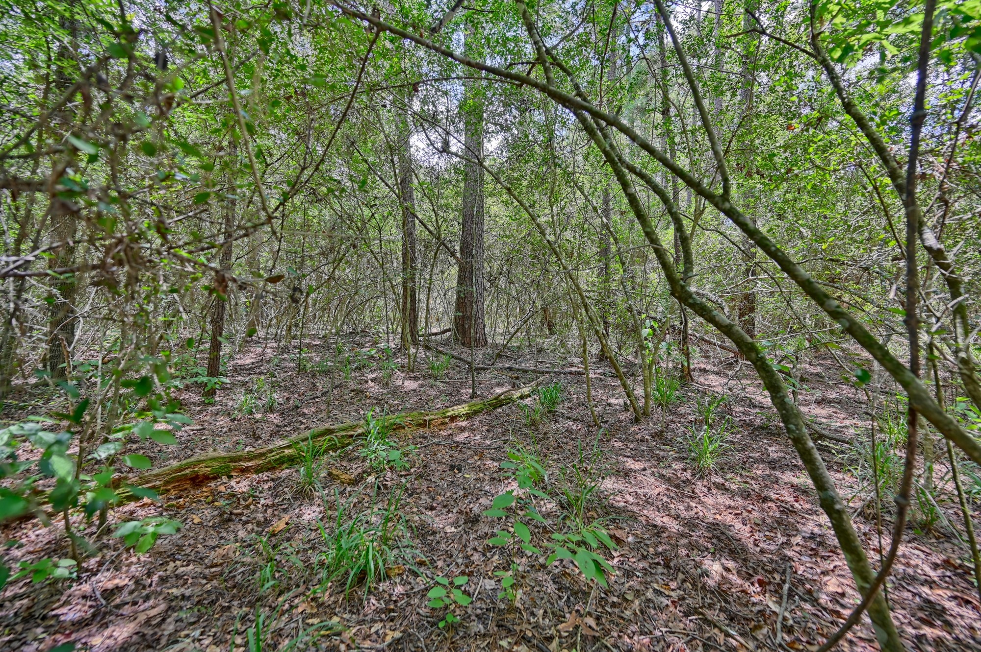16893 Whippoorwill Road Property Photo 30