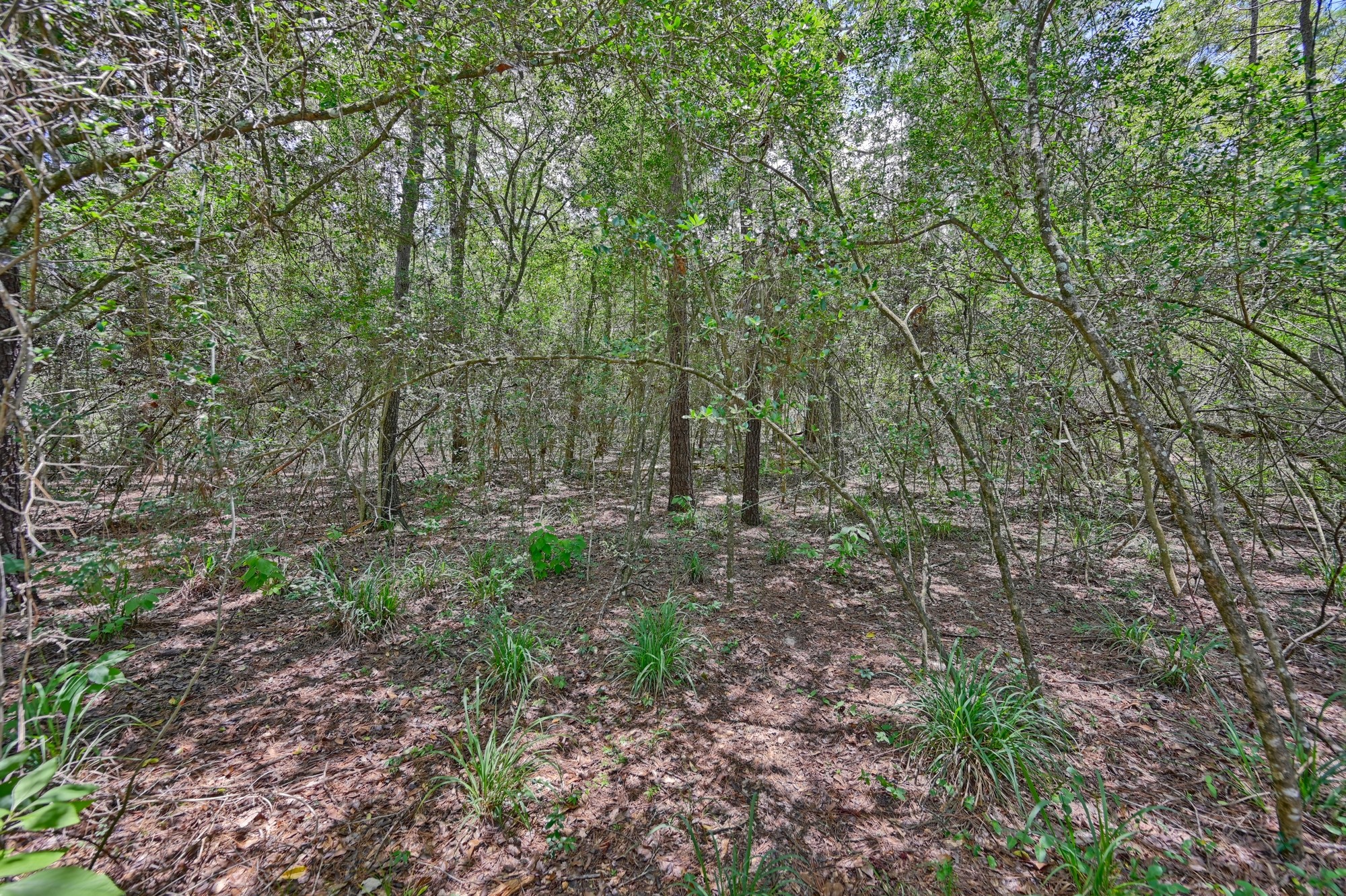 16893 Whippoorwill Road Property Photo 31