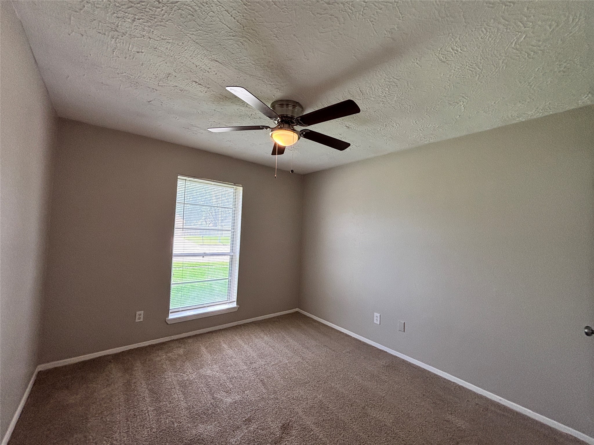 203 Woodvale Street Property Photo 19