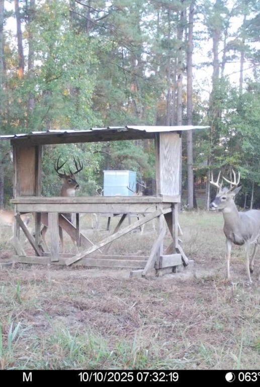 371 Fm 1872 Property Photo 11