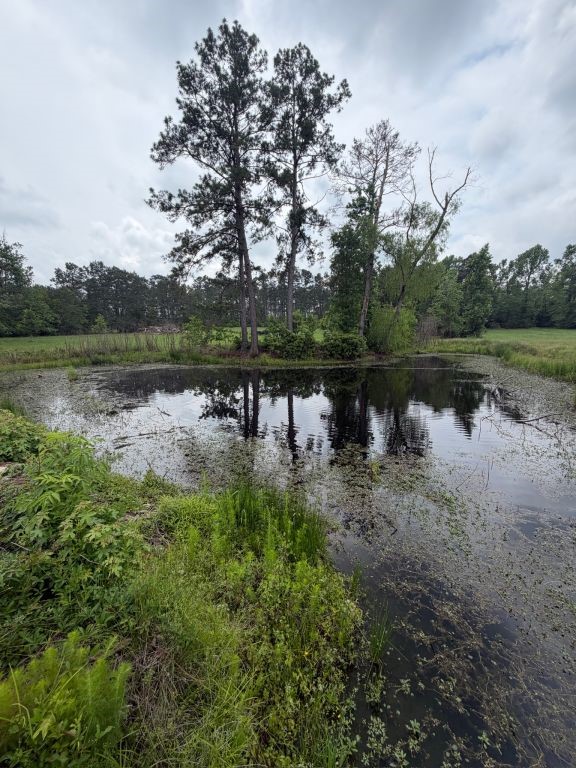371 Fm 1872 Property Photo 17