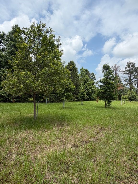 371 Fm 1872 Property Photo 41