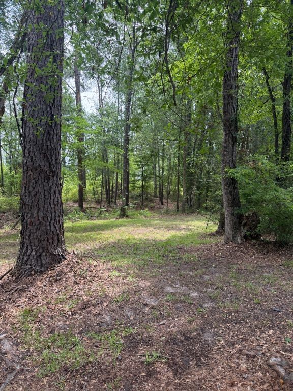371 Fm 1872 Property Photo 43