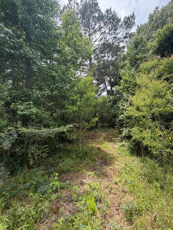 371 Fm 1872 Property Photo 49