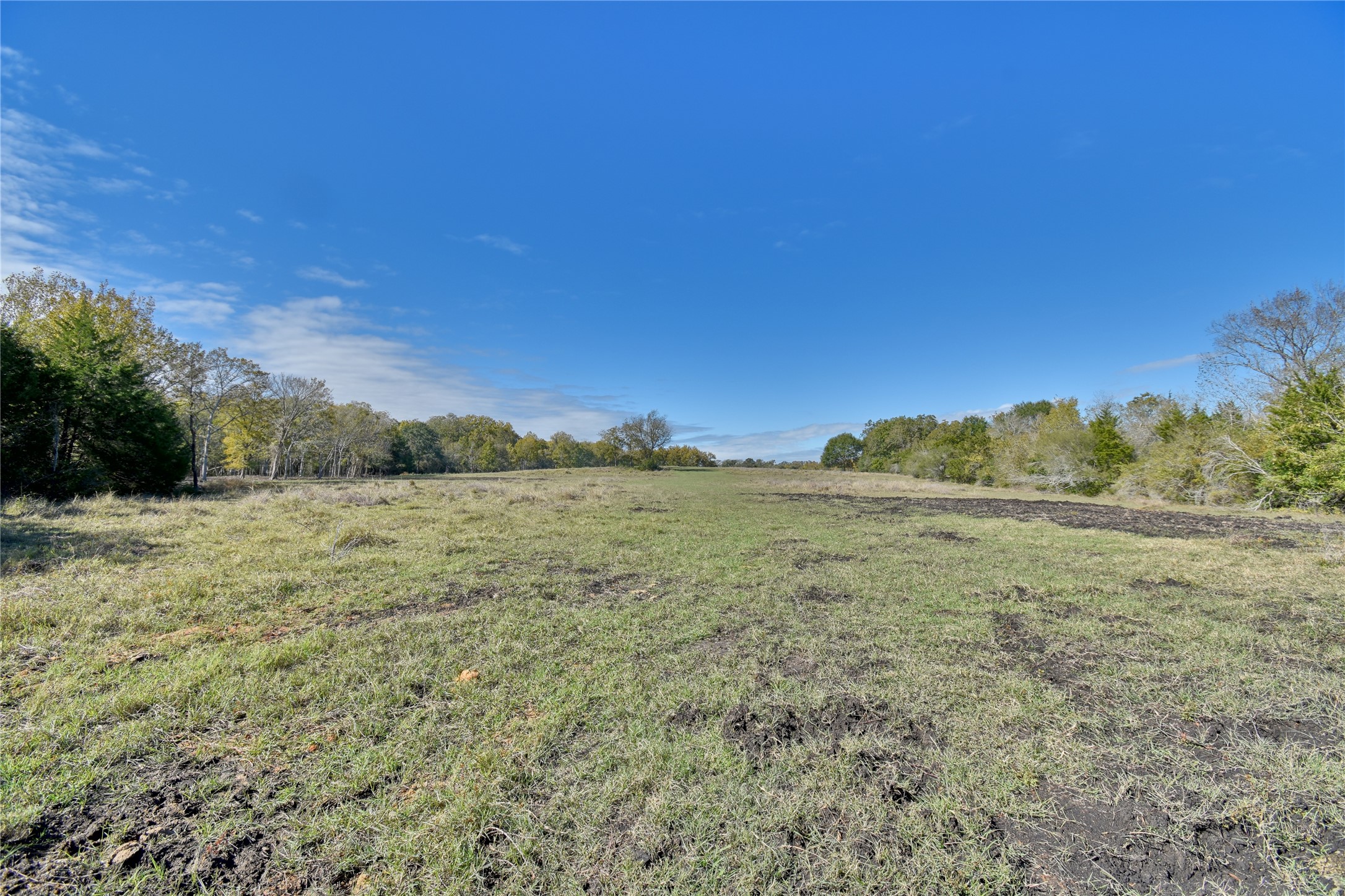 2088 Sempronius Road Property Photo 5